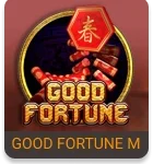 good-fortune-m