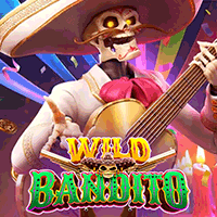 WILD BANDITO